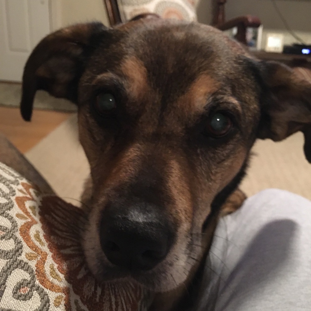 Meet your Posher, Jill